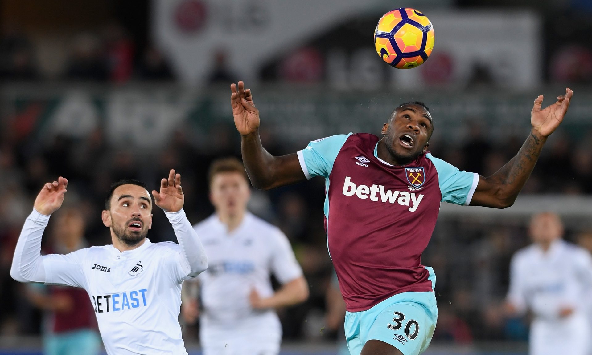 培养新星和 培养新星和